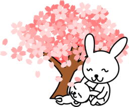 Cherry Blossom Border Clipart