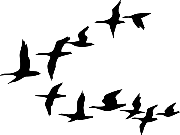 Bird flying outline clipart