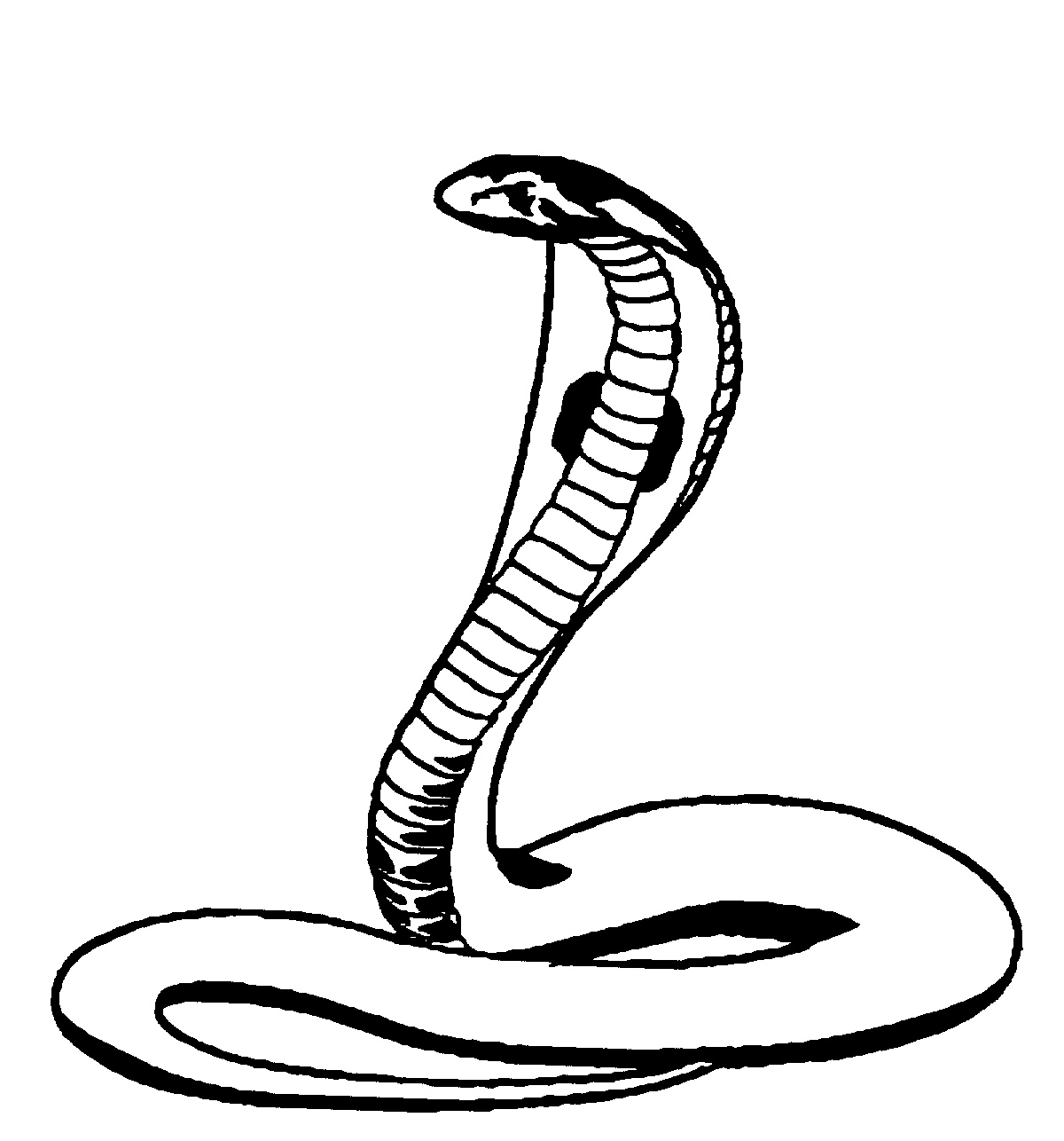 Cobra Snake Logo Clipart - Free to use Clip Art Resource