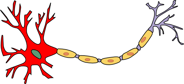 Simple Neuron Clip Art - vector clip art online ...