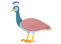 Free Bird Clipart - Clip Art Pictures - Graphics - Illustrations