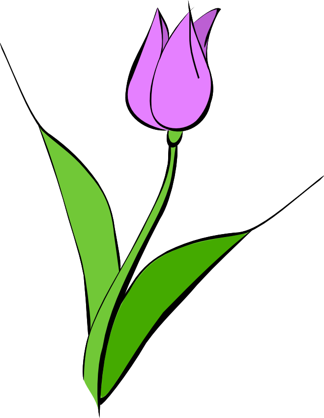 Tulips Image | Free Download Clip Art | Free Clip Art | on Clipart ...