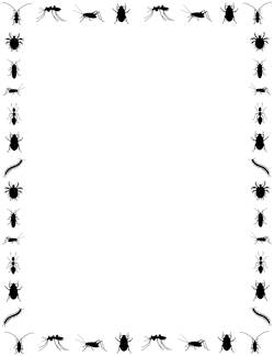 Free Animal Borders: Clip Art, Page Borders, and Vector Graphics
