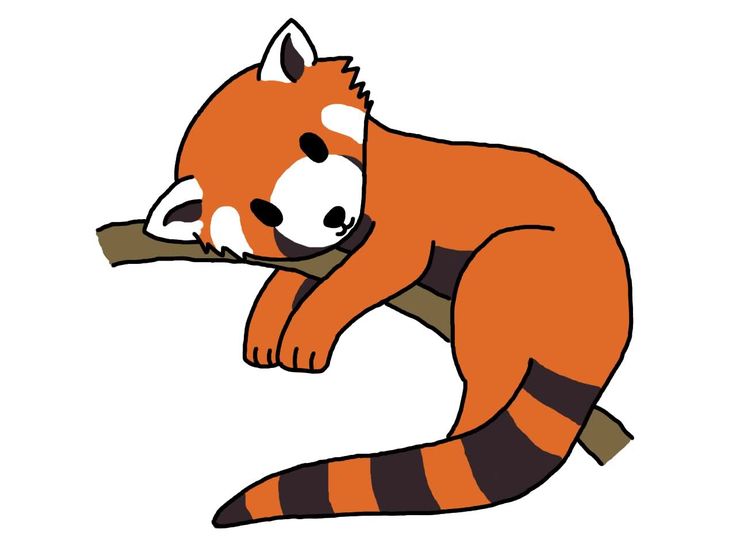 1000+ images about character design (CE) | Cartoon ...