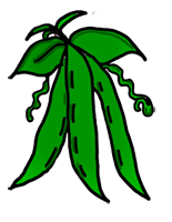 Clip Art Green Beans Clipart