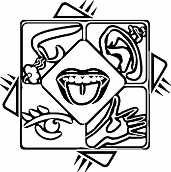 5 Senses Clipart