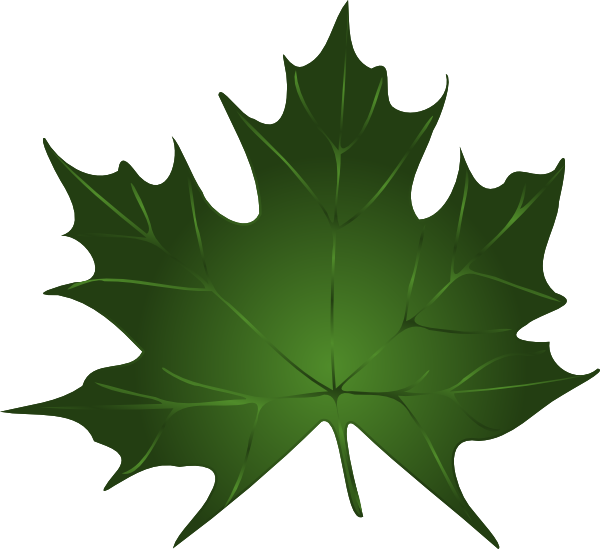 Green maple leaf clipart - ClipartFox