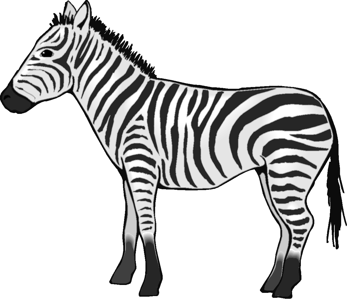 Zebra Line Drawing - ClipArt Best