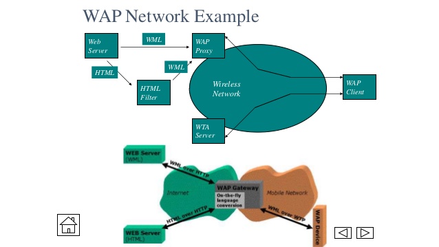 Wap wireless application protocal