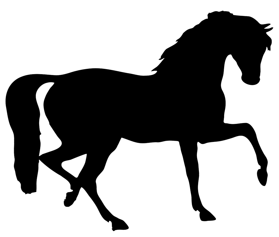 Horse Silhouette