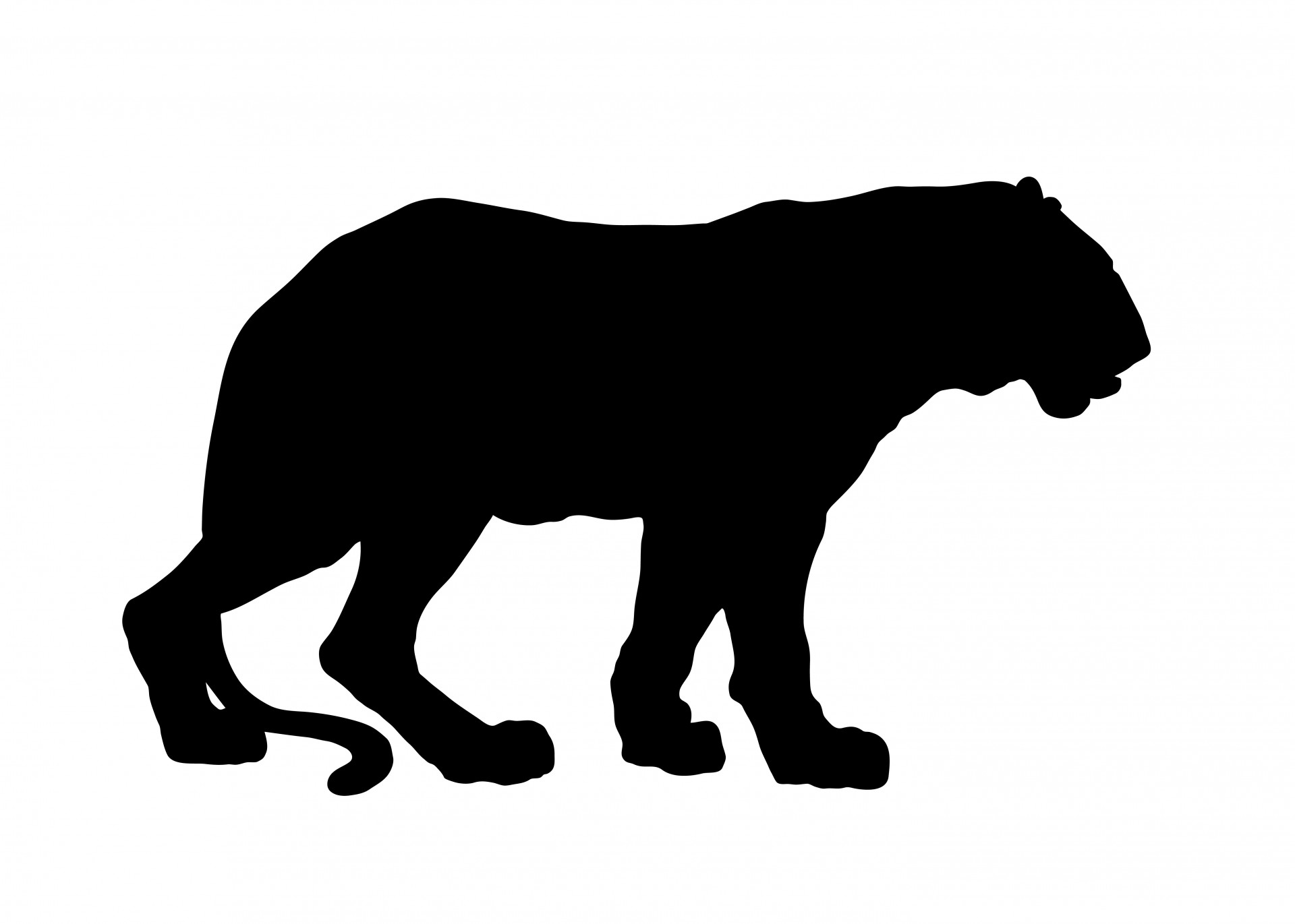 Tiger Sillhouette - ClipArt Best