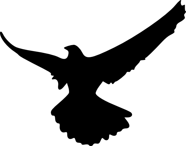 Hawk Silhouette Clipart