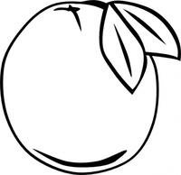 White Colored Bunch Of Fruit Free Vectors - DeluxeVectors.com