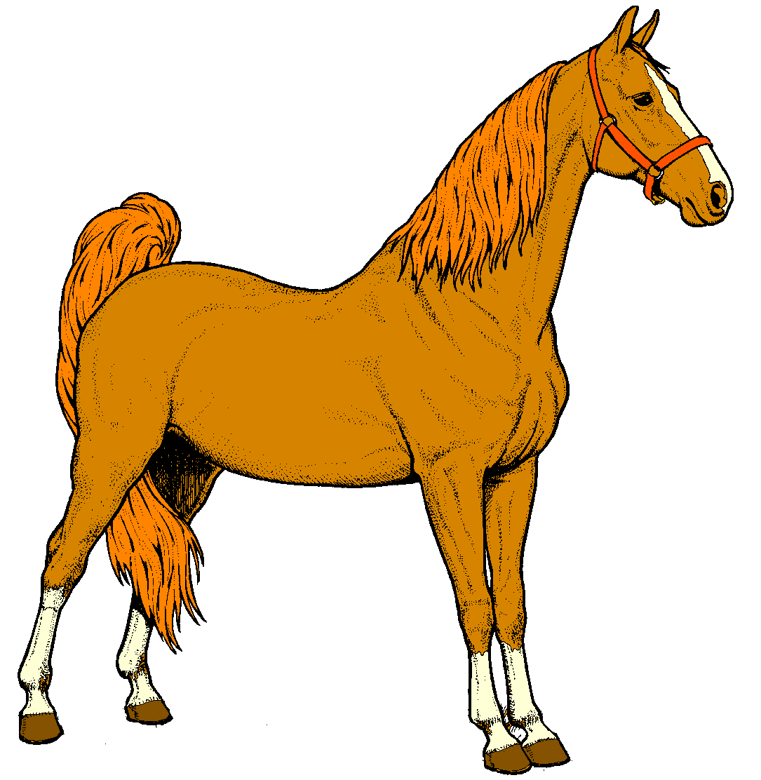 Horses Clipart - Tumundografico
