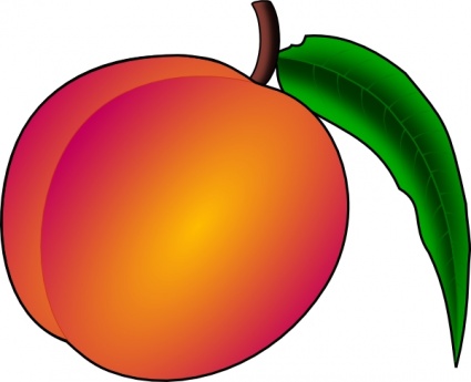 Coredump Peach clip art - Download free Nature vectors