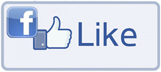 Facebook Like Feature Rolling Out « Mail Dog – Email Marketing Tools