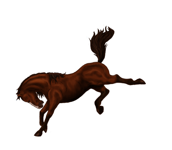 Pictures Of Horses Bucking - ClipArt Best
