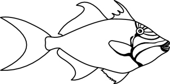 fish 2