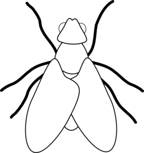 Fly Line Drawing Clip Art - vector clip art online ...