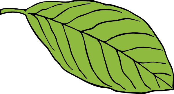 Oval Leaf clip art - vector clip art online, royalty free & public ...