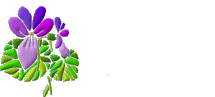 animated-thank-you-image-0030.gif