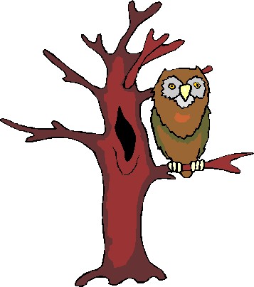 Owls Clip Art