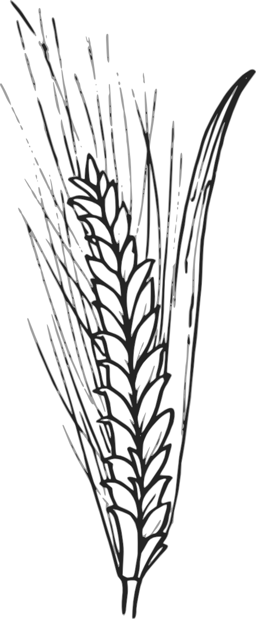 Wheat Clipart Royalty Free Public Domain Clipart