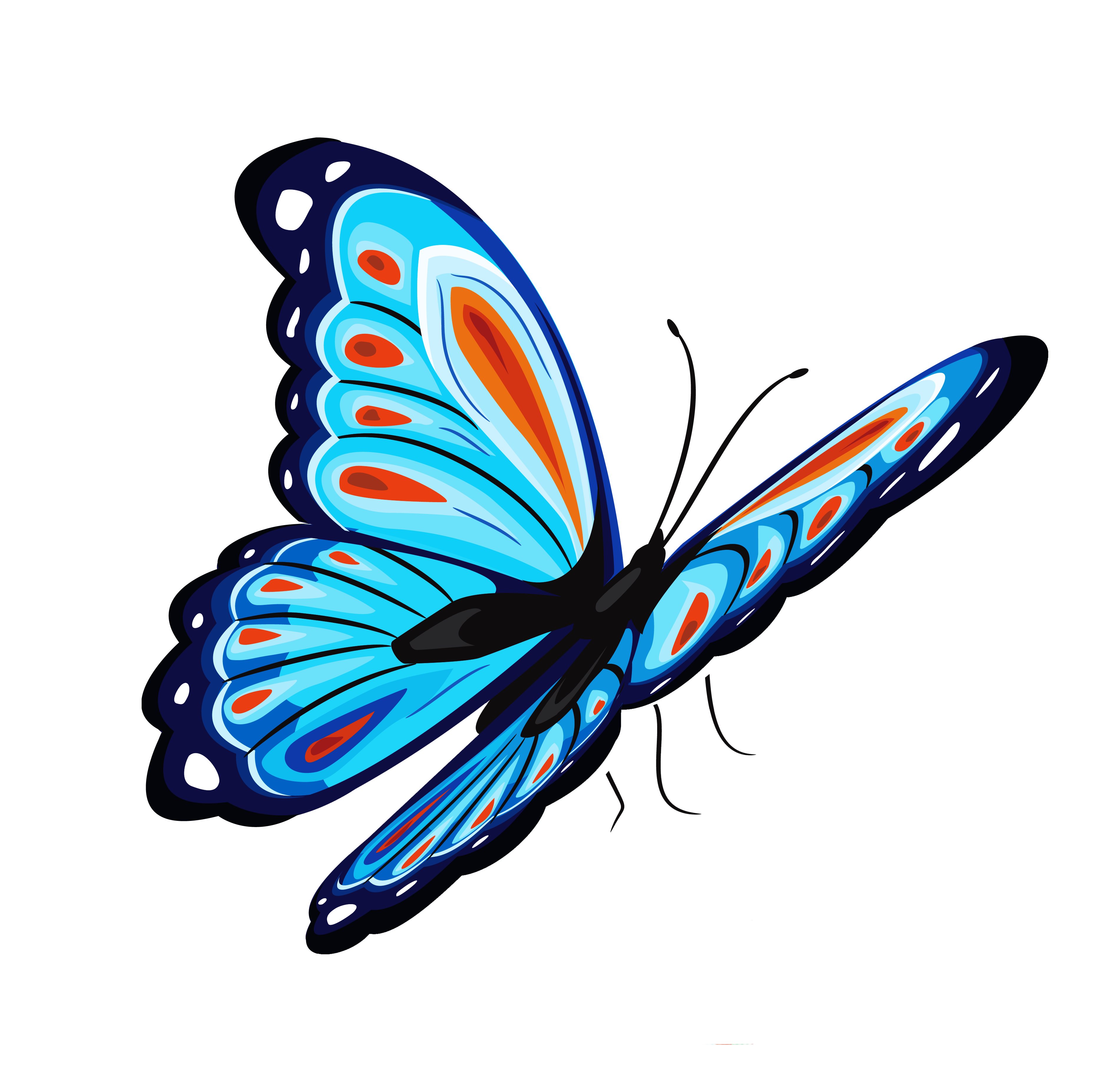 Blue and Red Butterfly PNG Clipart Picture