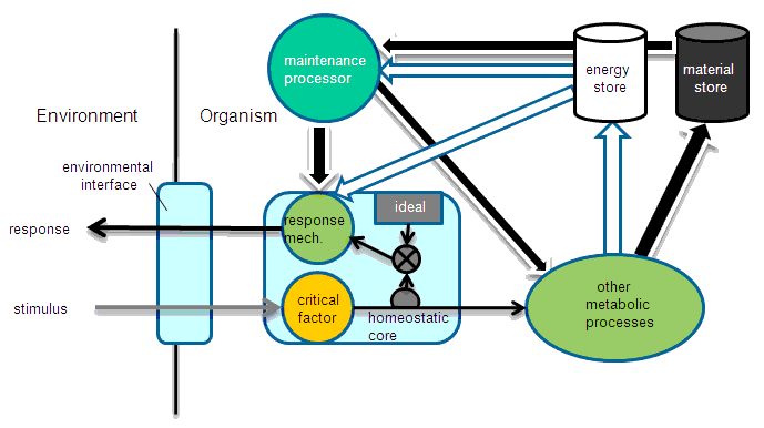 Question Everything: The Science of Systems 11