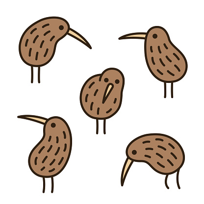 Kiwi Bird Clip Art, Vector Images & Illustrations
