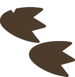 Dinosaur Feet Clipart