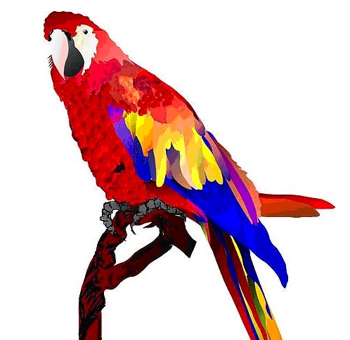 20 Vector Graphics Editors Reviewed – Smashing Magazine