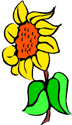 Sunflower Clip Art