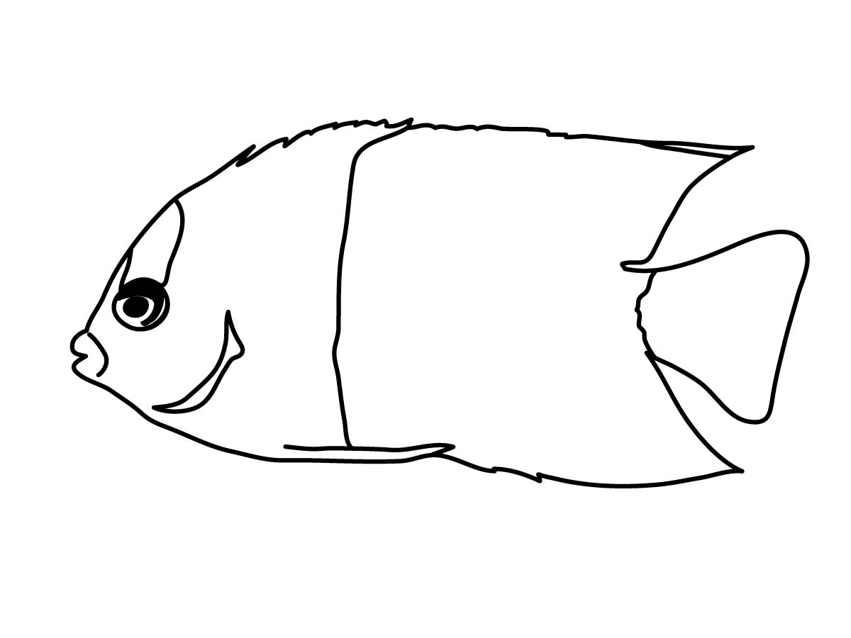 Angel fish outline clipart black and white