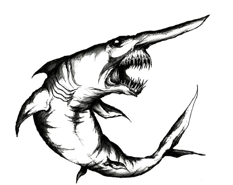 Shark Line Art