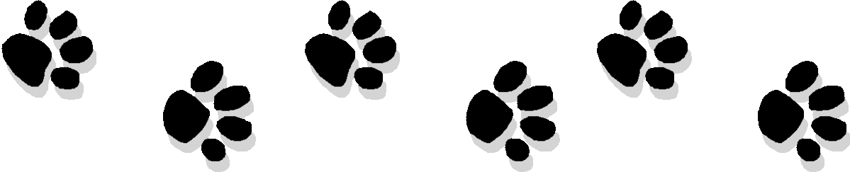 Paw Prints Border Clipart - Free to use Clip Art Resource