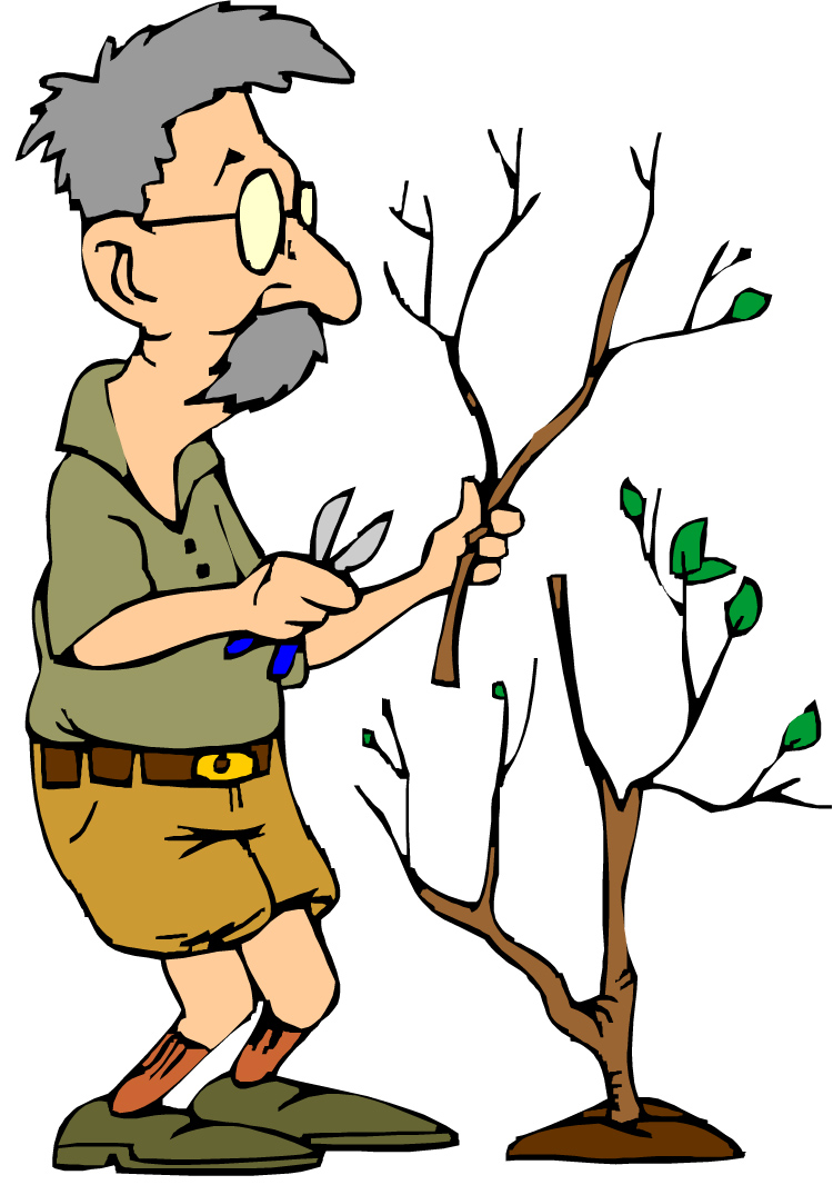 Photosynthesis Clipart | Free Download Clip Art | Free Clip Art ...