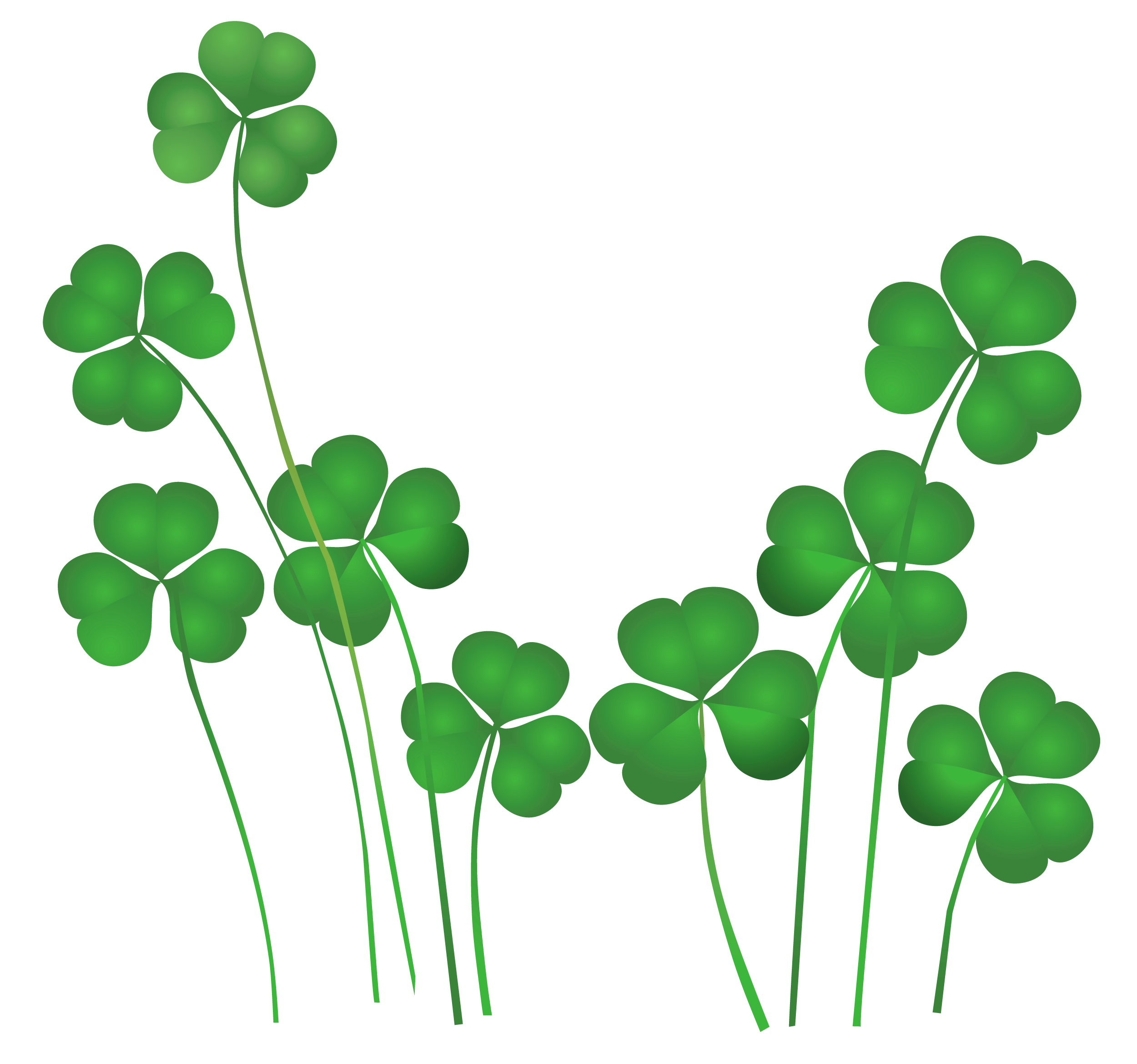 St Patricks Day Shamrocks Decor PNG Clipart