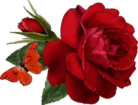 Roses Comments - EditingMySpace.com - Your One Stop Graphic Spot