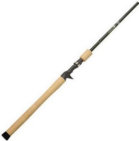 Spinnings Reviews from the best experts :Shore fishing in mexico ...