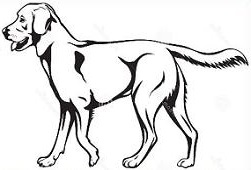 Free Labrador Retriever Clipart