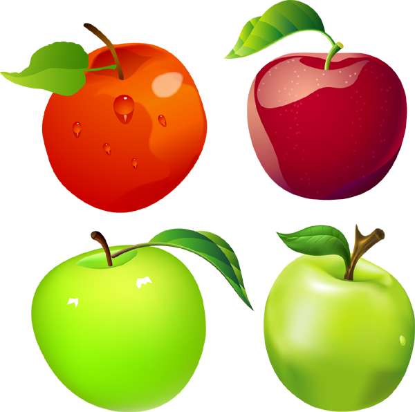 Free Vector Apples