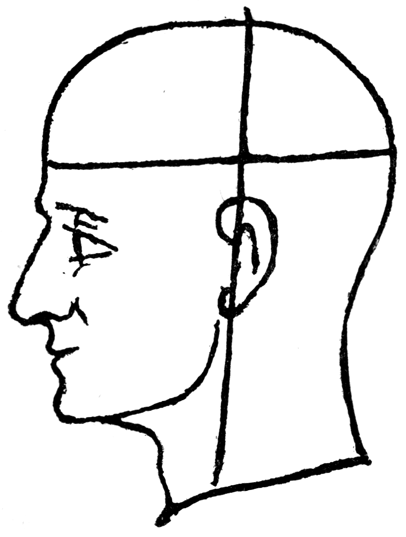 Human Face Outline