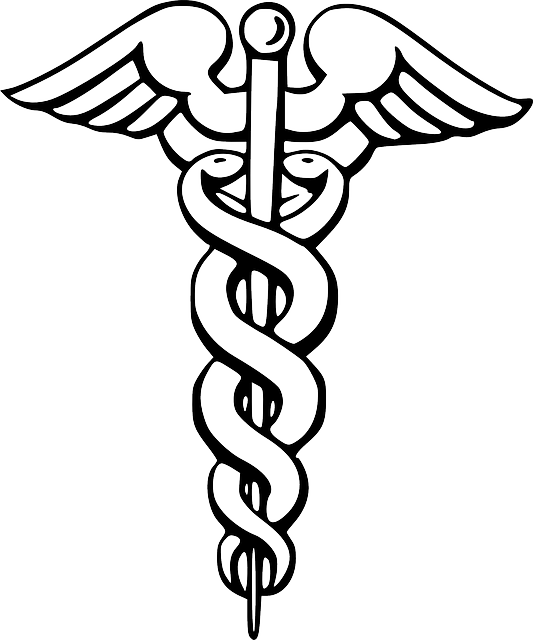 SNAKE, SYMBOL, PIN, DOCTOR, WING, FREE, PHARMACY, STAFF - Public ...