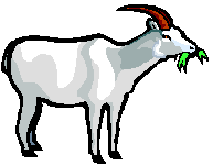 â?· Goats: Animated Images, Gifs, Pictures & Animations - 100% FREE!