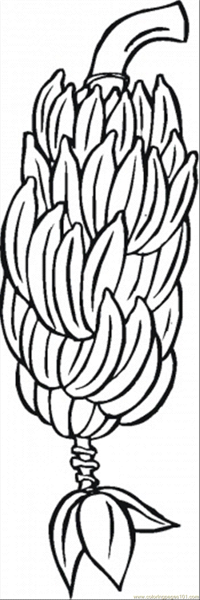 Banana Tree Clip Art