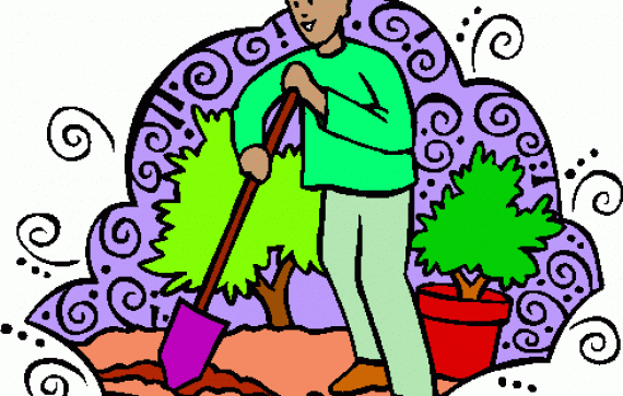 Plant Tree Clip Art - DecorBold