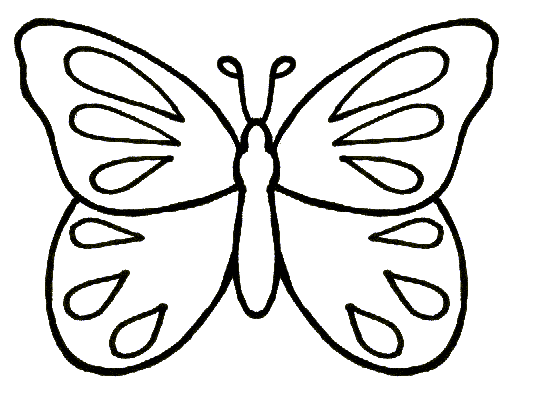 Butterfly Tracing - ClipArt Best
