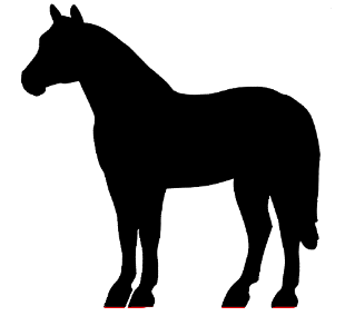 Quarter horse clip art
