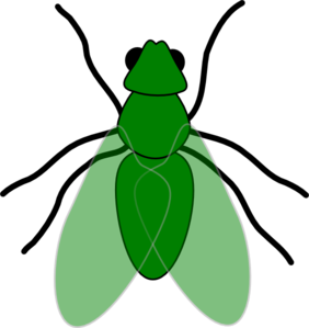 Fly Clip Art - Free Clipart Images